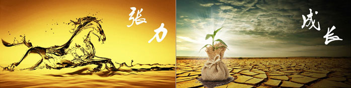 企業(yè)發(fā)展要學(xué)會(huì)取他人之長(zhǎng)、補(bǔ)自己之短